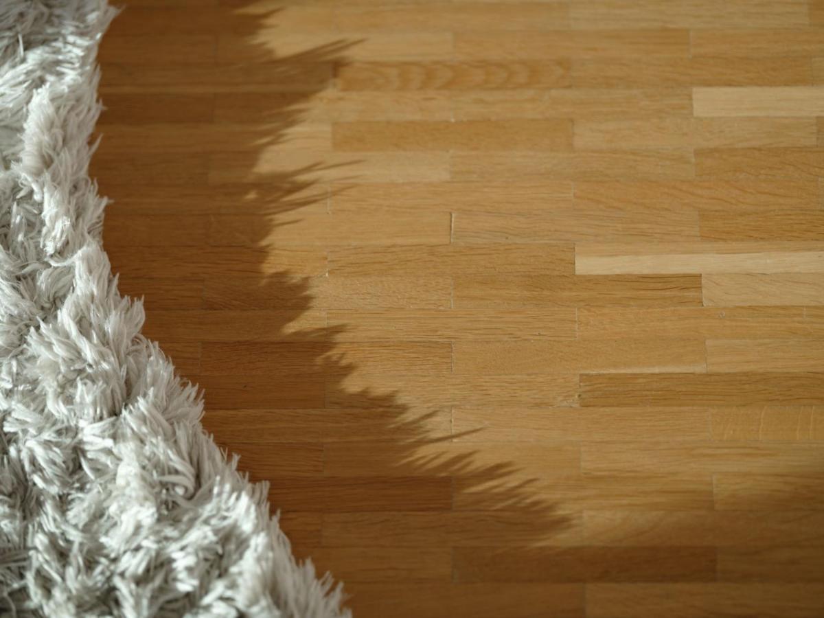 德哈恩Stijlvolle En Lichtrijke Design Penthouse Met Prachtig Uitzicht Te Wenduine公寓 外观 照片